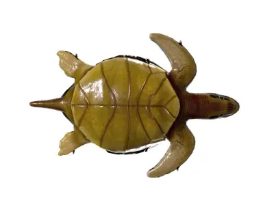 Sea Turtle Low-poly 3D model