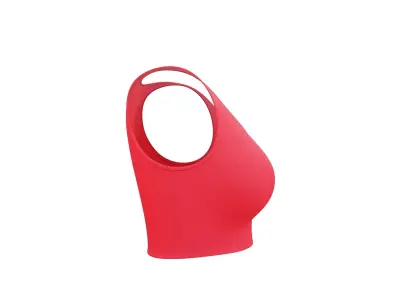Sport Bra 3D model