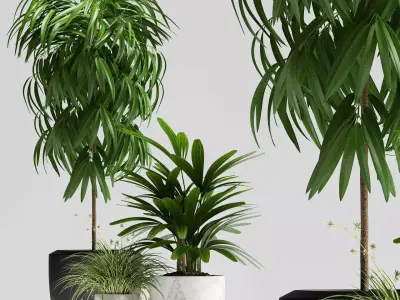 plants set 134 3D model