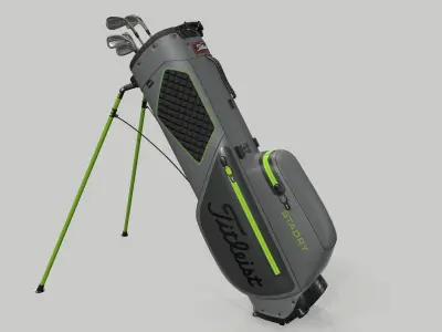 Titleist Gray-Green StaDry Golf Bag Plus 3D model