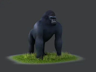 Bush chimpanzees silverback gorillas humanoids 3D model