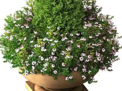 Decorative tree with flowers Porch Front Entrance Doors Patio  3D model