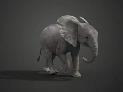 Young African Elephant Animated  VFX Grace 3D model