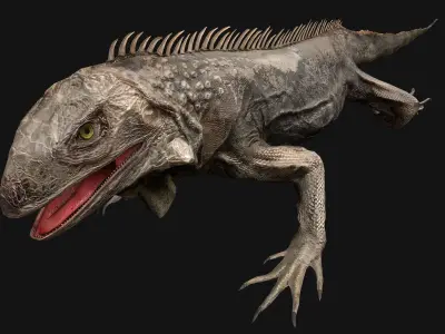 Iguana Reptile Low-poly 3D model