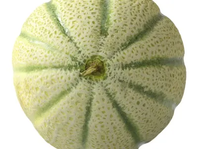 Melon Cantaloupe 3D model