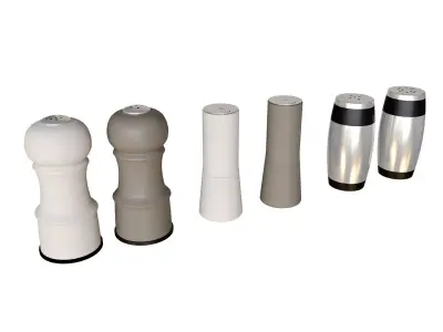 Salt and Pepper Shakers 3D model