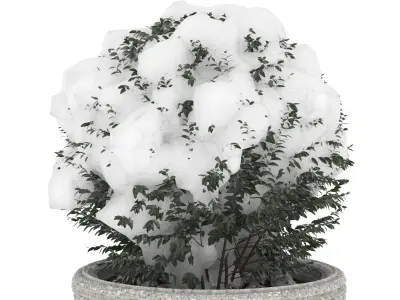 Bush pot snow 3D model