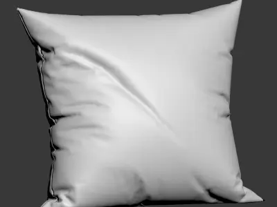 Zarahome Decorative Pillows Set  3D model