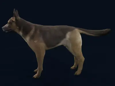 german shepherd dog Low-poly 3D model