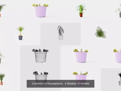 Collection of Houseplants - 6 Models