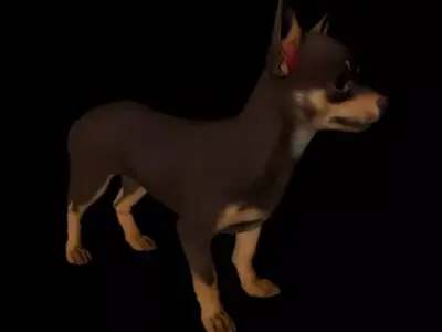 3D Model Dog Chihuahua  3D model