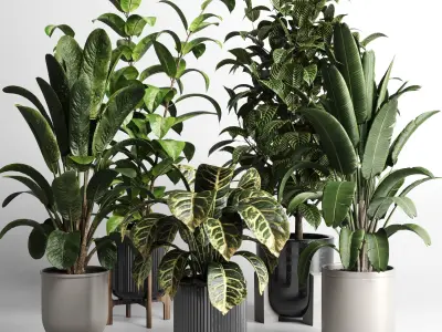 Collection indoor plant 276 pot concrete dirt vase 3D model