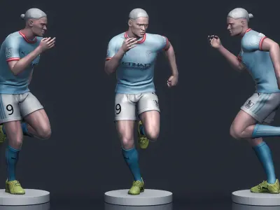  Erling Haaland 3D Printable 2 3D print model