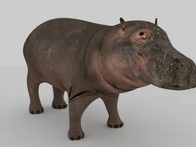 Hippo Low-poly 3D model