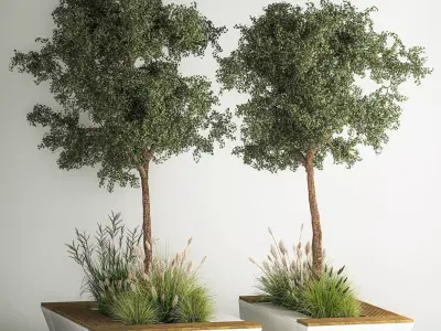 Trees for landscape design with a bench and bushes 1129 3D model