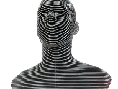 Bust of metal plates 2 metal variants 3D model