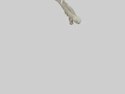 Lizard Spine Low-poly 3D model