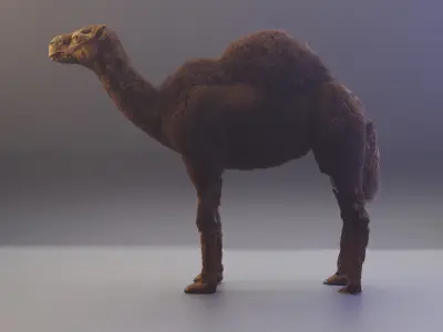 Realistic Camel Low-Poly 3D Model Low-poly 3D model