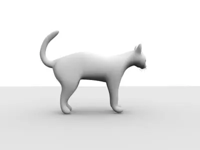 White Domestic Cat 3D model