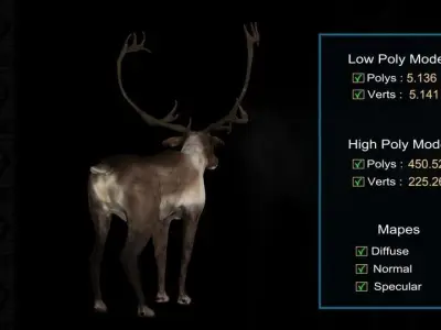 Deer Caribou Low-poly 3D model