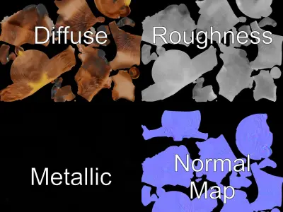 Realistic Bear Model Pack with Diverse Level of Detail Low-poly 3D model