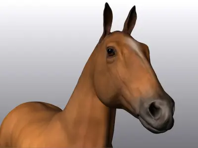 Horse Low-poly 3D model