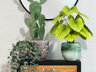 Plants collection 123 3D model