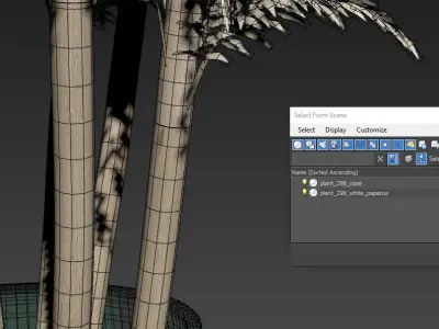 Plants collection 298 3D model