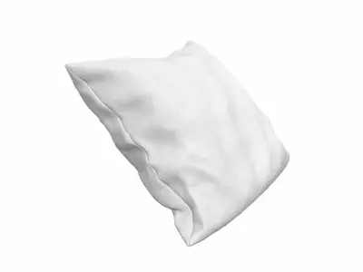 Solid Pillow 16 3D model
