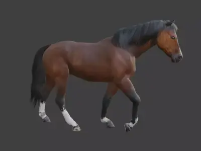 Animated Brown Horse  3D model