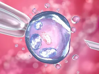  Artificial insemination - glass needle fertilizing a female egg 3D model