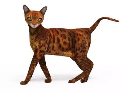 3d Cat Rigged model Low-poly 3D model