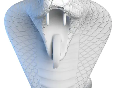 Snake Model Low-poly 3D model