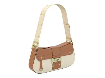 Dior Street Chic Bag Brown Beige Fabric 3D model