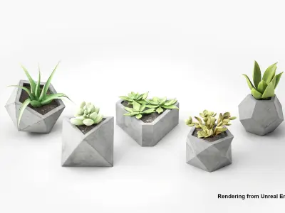 Concrete Potted Cactus Set 3D model