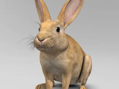 Rabbit - Brown 3D model