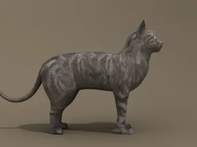 Cat Low-poly 3D model Low-poly 3D model