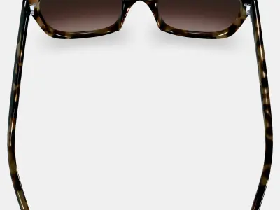 Aubrey Low Bridge Fit Sunglasses in Marzipan Tortoise 3D model