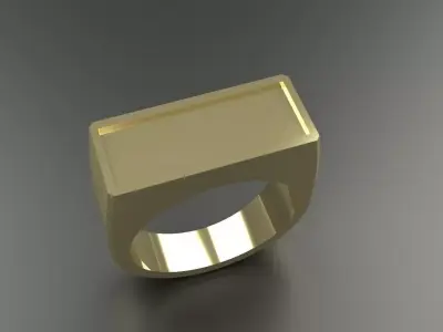 Mens Rectangular Ring Gold Platinum Silver Jewelry 3D print model