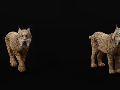 Iberian Lynx Low-poly 3D model