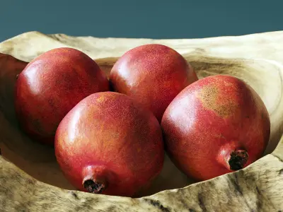 Decorative bowl with walnuts and fruits 3D model