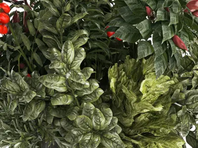 Bouquet of kitchen herbs and vegetables vase tomato pepper  3D model