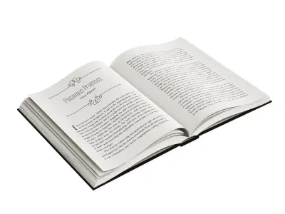 Open Books Set 3D model