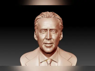 Nicolas Cage 3D printable portrait model 3D print model