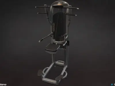 Gym Machine - Matrix Dip-Chin Assist Machine 3D model