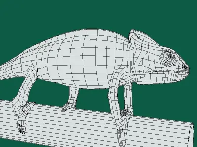 Chameleon Lizard Reptiles Low-poly 3D model