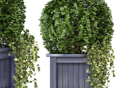 Outdoor Plants in Wooden Pot - Set 34  3D model