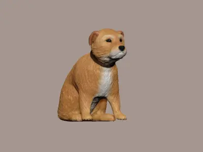 small Irish terrier 3D model