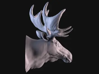 Moose Head 3D print model
