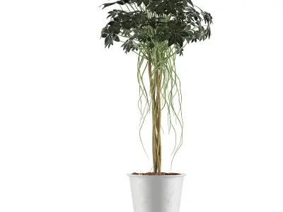 Plants Collection 87 3D model